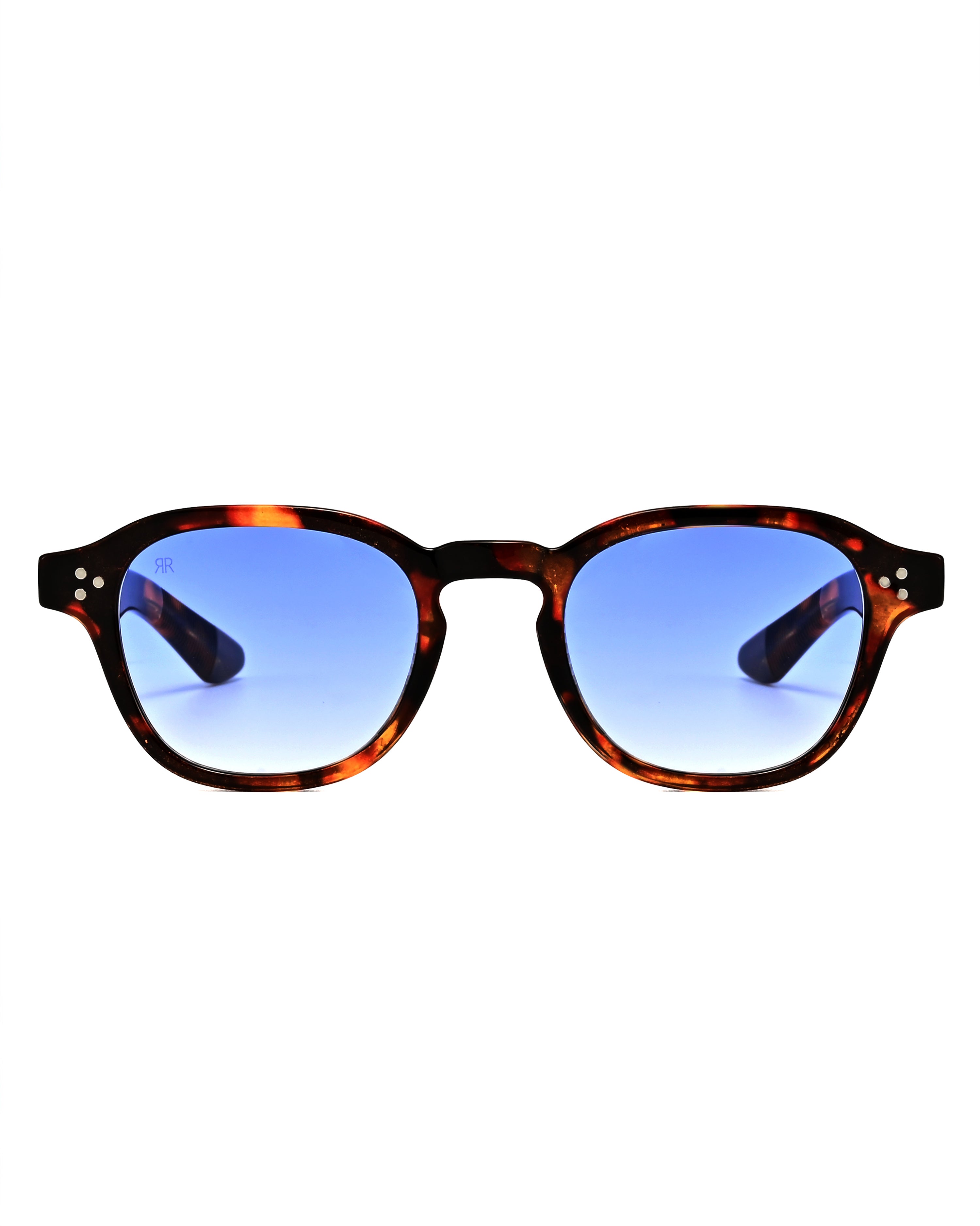 Γυαλιά Ηλίου Red Raven Camdem Tortoise Blue